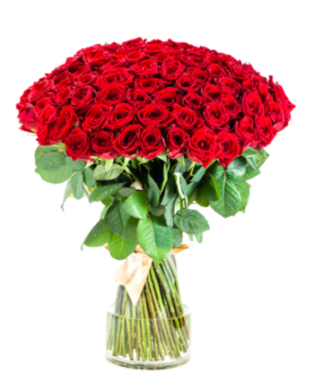 bouquet of red roses